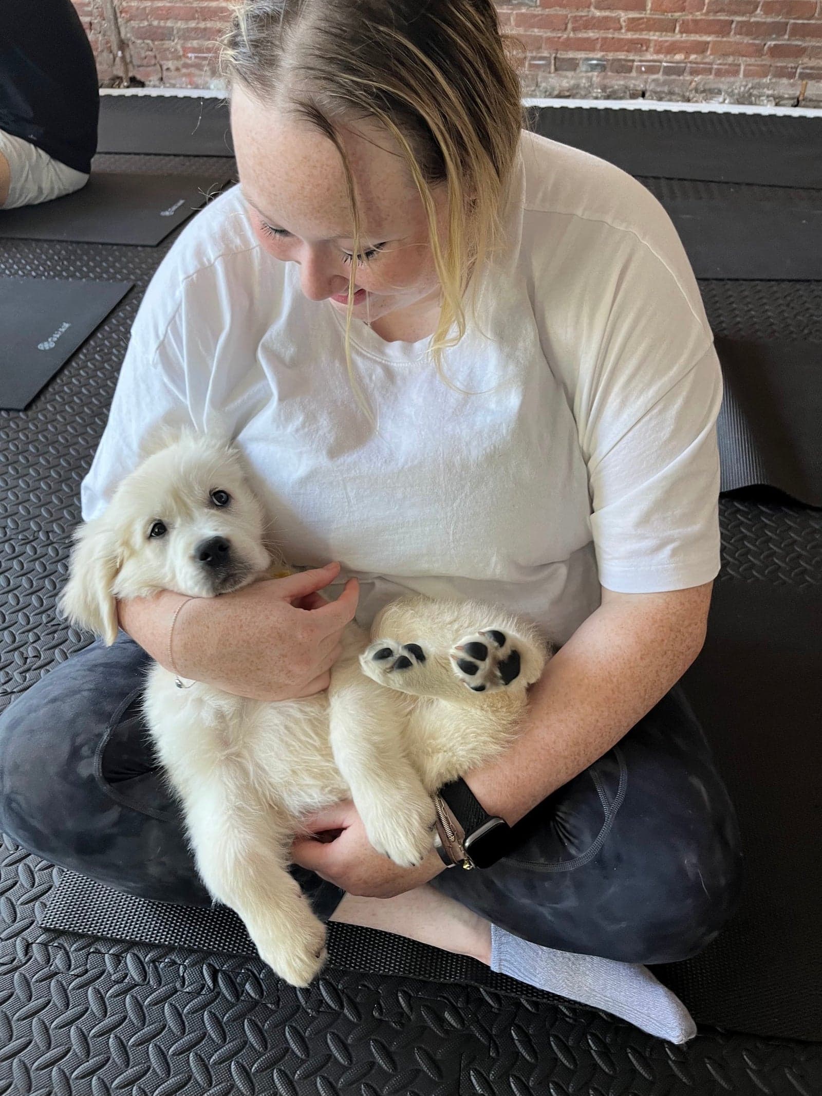 Two golden retriever puppies curled up on a yoga mat with their guest