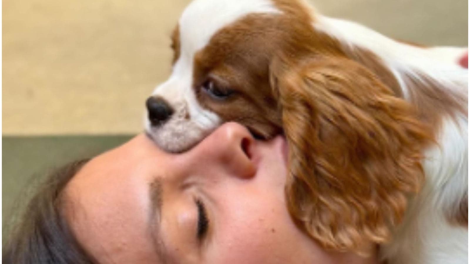 Puppy yoga class at Downtown