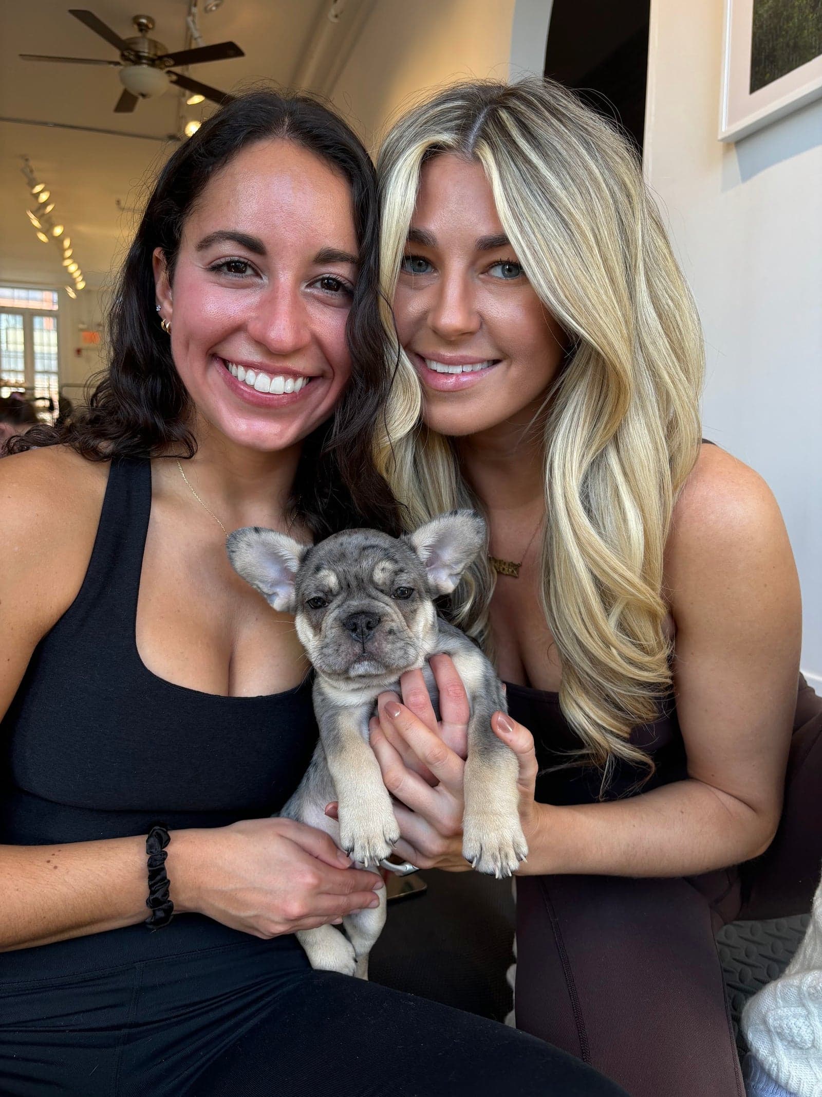 Puppy yoga class at Creek Harbour