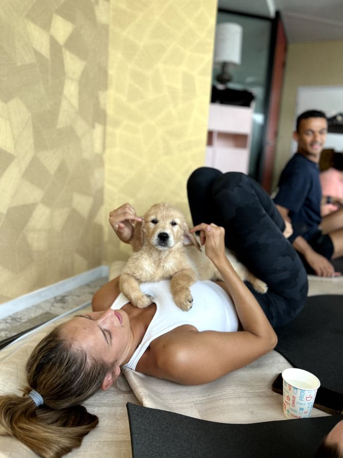 Puppy yoga class at Creek Harbour
