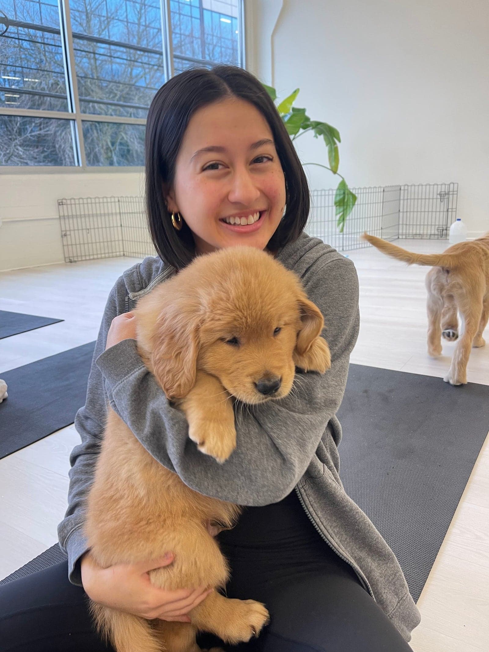 Puppy yoga class at Downtown