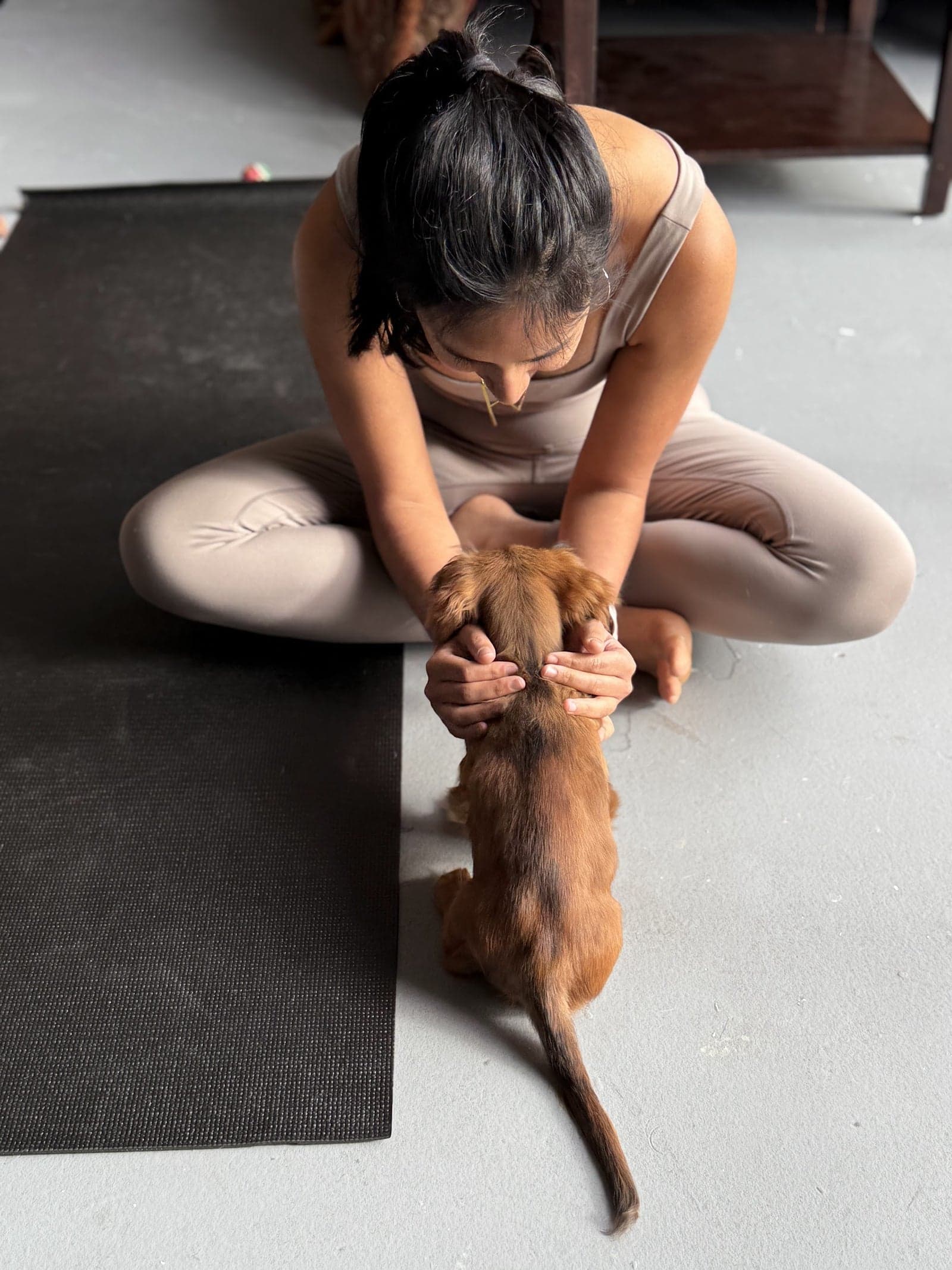 Puppy yoga class at Creek Harbour